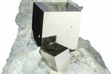 Three Natural Intertwined Pyrite Cubes In Rock - Navajun, Spain #361785-2